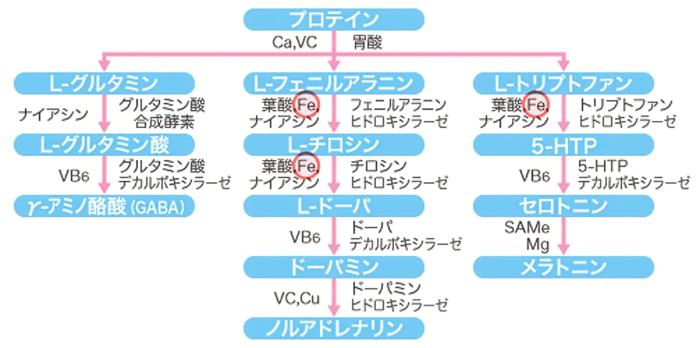 こころに必要な物質